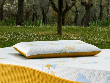 Guanciale Re:Evolution in my form di Dorelan