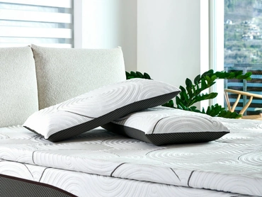 Guanciale Re:Life in lattice di Dorelan