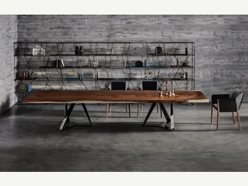 Libreria Lexington di Bontempi