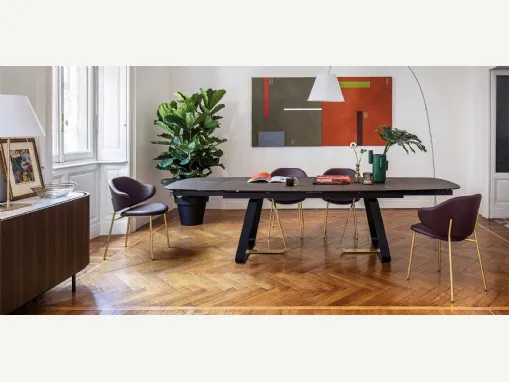 Sedia Holly di Calligaris