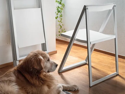 Sedia pieghevole Skip in legno laccato di Connubia